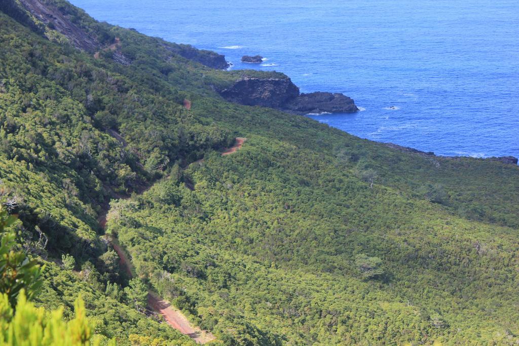 Vila Adega Do Mirante São Roque do Pico Pokoj fotografie